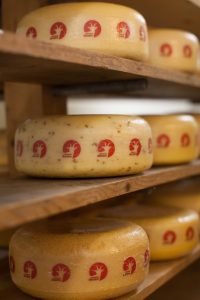 stroese-dame-geitenkaas